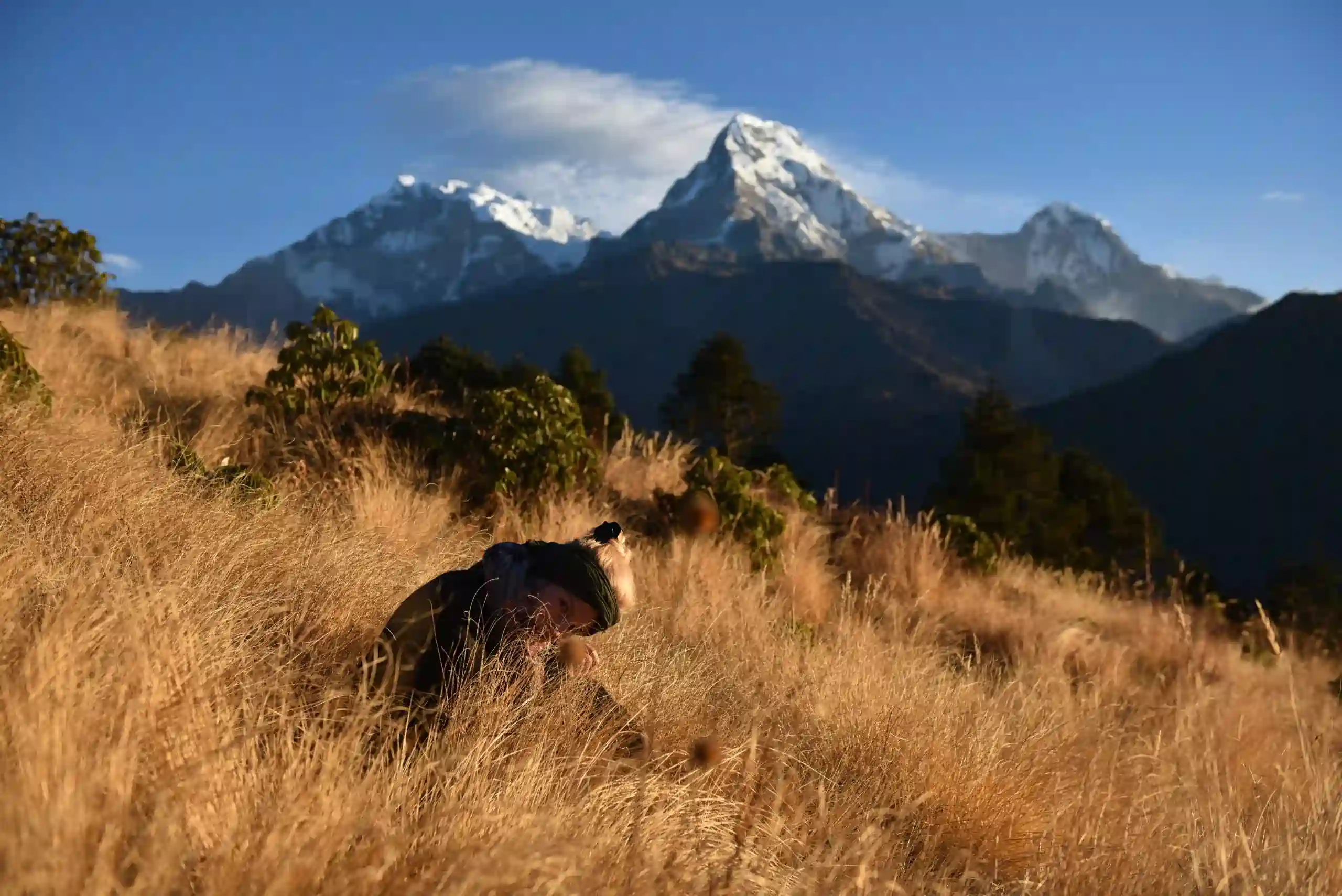 5 Days Ghorepani Poon Hill Trek with Ghandruk