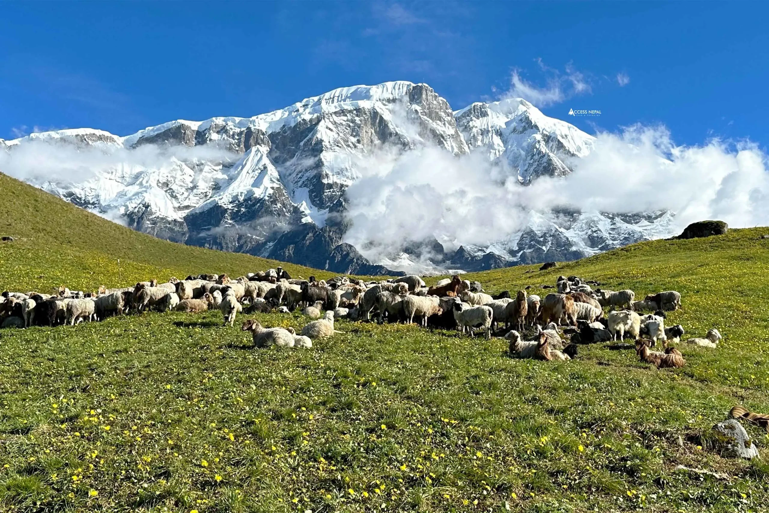 6 Days Kori Himal Trek – Remote Annapurna Viewpoint Trek