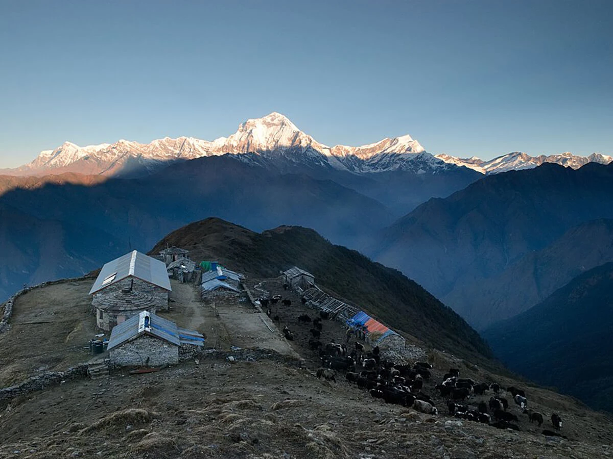 9 Days Khopra Danda Trek – The Quiet Side of Annapurna