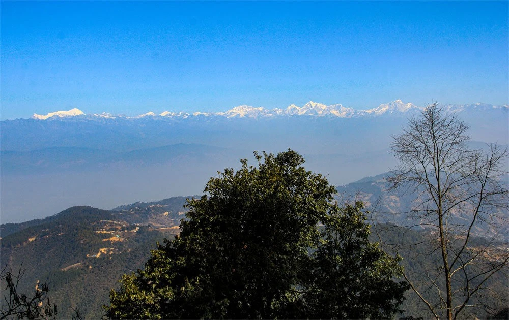 Phulchowki Hike from Kathmandu | 1-Day Hiking Package